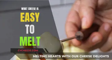 Cheese that Melts Easily: Top Picks
