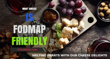 Discover FODMAP-Friendly Cheeses: Enjoy Dairy Without Digestive Discomfort