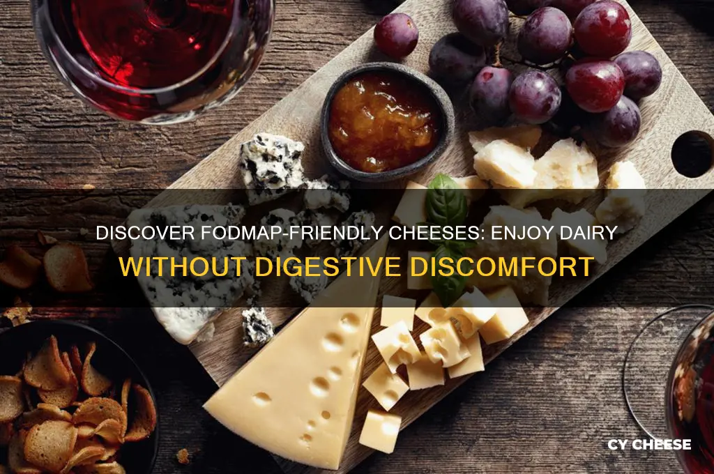 what cheese is fodmap friendly