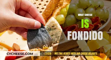 What is Fondido Cheese? A Melty Mexican Delight Explained