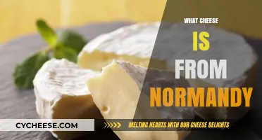 Discover Normandy's Iconic Cheeses: A Guide to Regional Delicacies