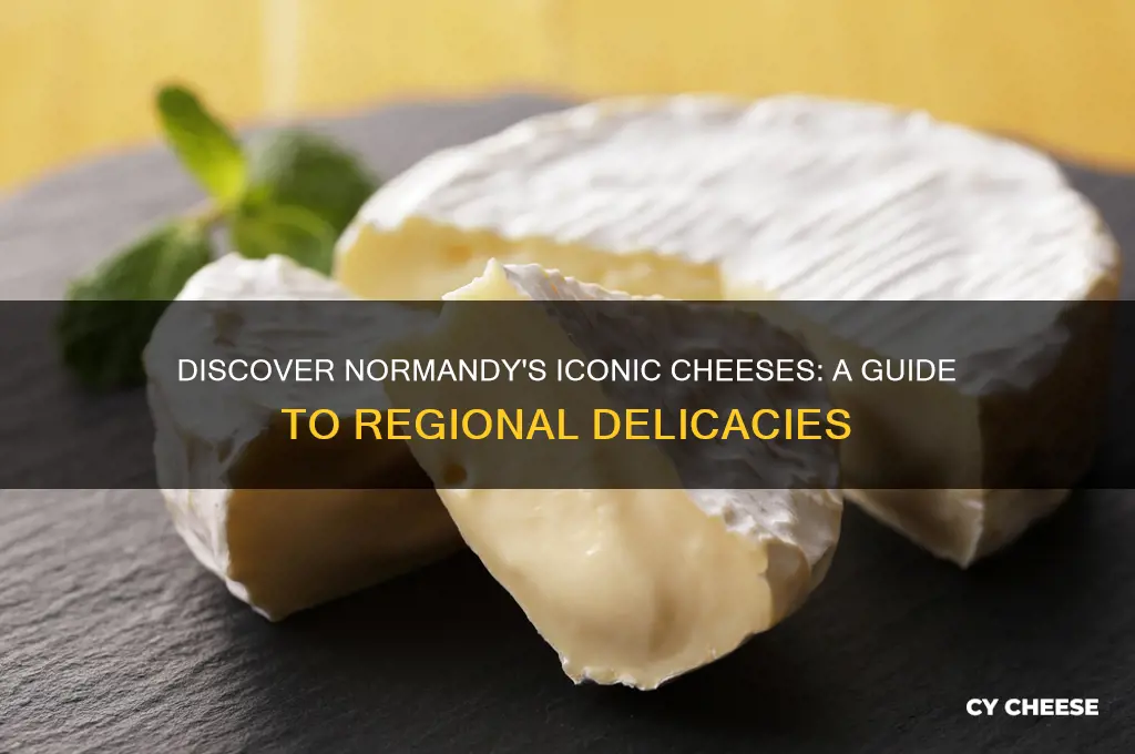what cheese is from normandy