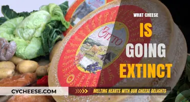 Disappearing Delicacies: Rare Cheeses at Risk of Extinction