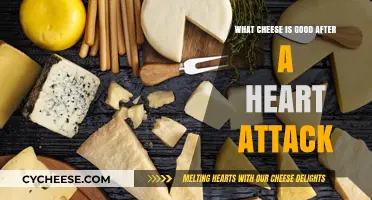 Heart-Healthy Cheese Choices: Safe and Delicious Options Post-Heart Attack