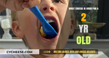 Best Cheese Options for Toddlers: Healthy and Safe Choices for 2-Year-Olds
