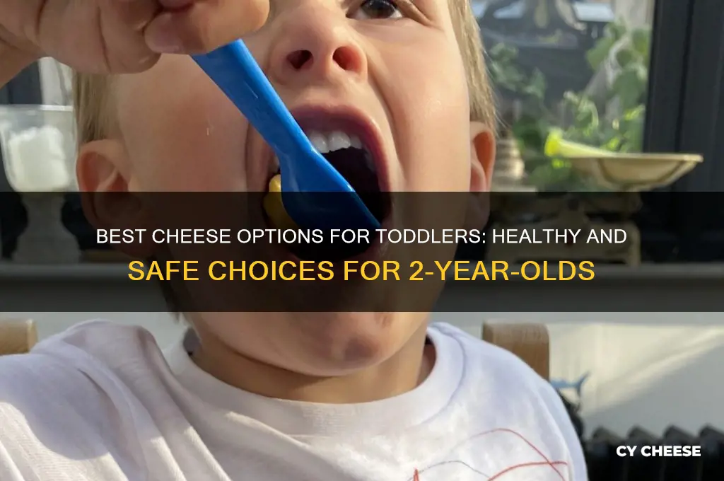 what cheese is good for a 2 yr old