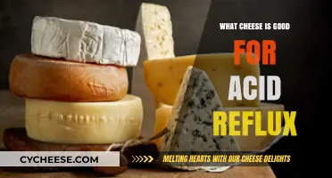 Best Cheese Choices to Soothe Acid Reflux Symptoms Naturally