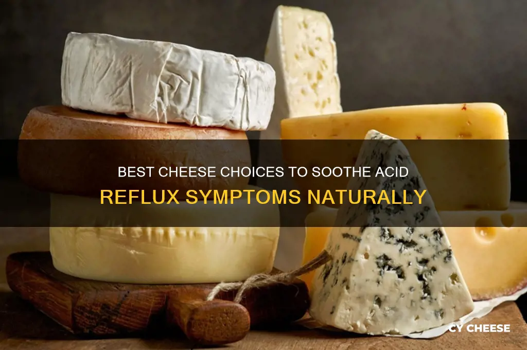 what cheese is good for acid reflux