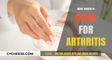 Cheese Choices for Arthritis Relief: Best Dairy Options to Ease Joint Pain