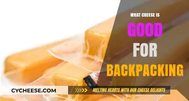 Best Backpacking Cheeses: Lightweight, Nutritious, and Long-Lasting Trail Snacks