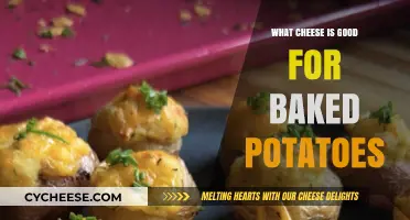 Best Cheesy Toppings for Perfectly Baked Potatoes: A Flavor Guide