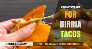 Best Cheeses to Elevate Your Birria Tacos: A Flavorful Guide