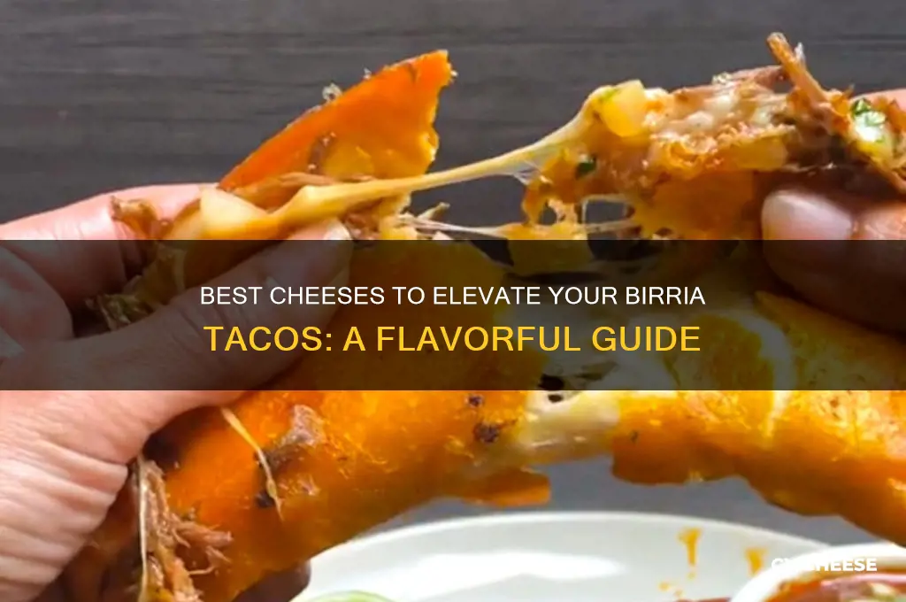 what cheese is good for birria tacos
