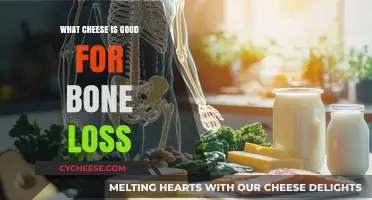 Cheese Varieties That Support Bone Health and Prevent Bone Loss