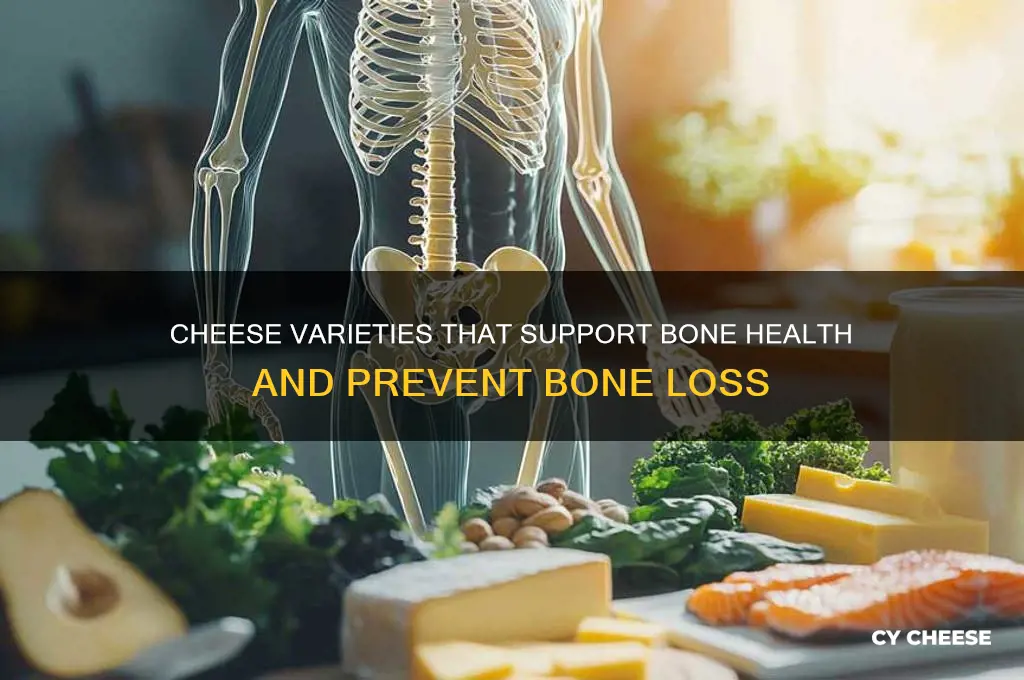 what cheese is good for bone loss