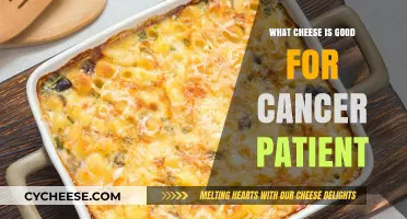 Nutritious Cheese Options to Support Cancer Patients' Health and Recovery