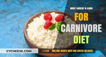 Top Carnivore-Friendly Cheeses: High-Fat, Low-Carb Options for Your Diet
