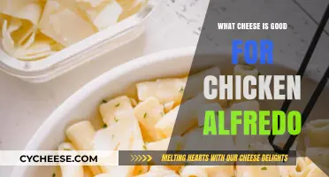 Best Cheeses to Elevate Your Creamy Chicken Alfredo Recipe