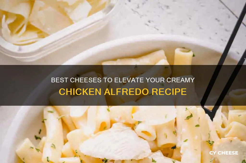 what cheese is good for chicken alfredo