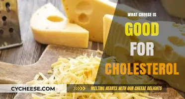 Best Cheese Choices to Lower Cholesterol and Boost Heart Health