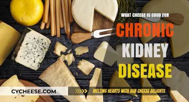 Kidney-Friendly Cheese Choices: Best Options for Chronic Kidney Disease