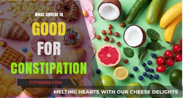 Relieve Constipation Naturally: Best Cheeses to Ease Digestive Discomfort