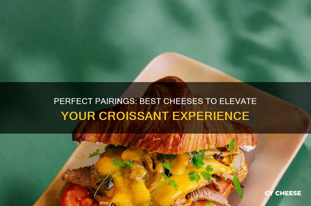 what cheese is good for croissant