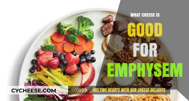 Cheese Choices for Emphysema: Nutritional Benefits and Best Options