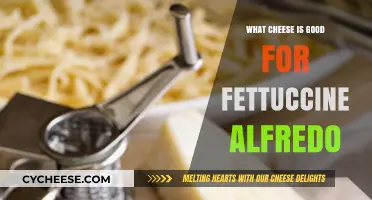 Perfect Fettuccine Alfredo: Top Cheese Choices for Creamy Perfection