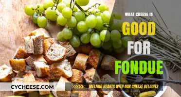 Perfect Fondue Cheese Guide: Top Melty Varieties for Delicious Dipping