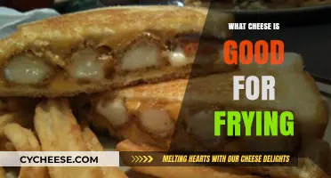 Best Cheeses for Perfectly Crispy and Melty Fried Delights