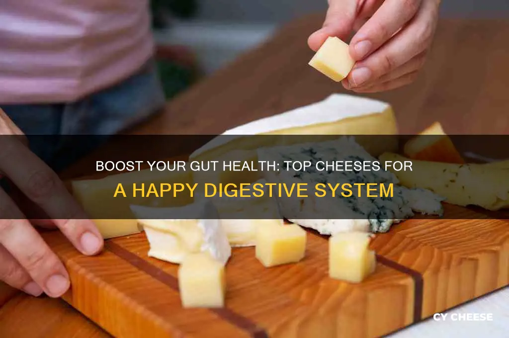 what cheese is good for gut health