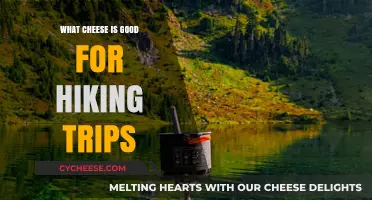 Best Cheeses for Hiking: Portable, Nutritious, and Trail-Ready Picks