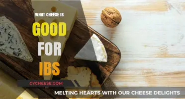 IBS-Friendly Cheese Guide: Best Low-FODMAP Options for Sensitive Stomachs