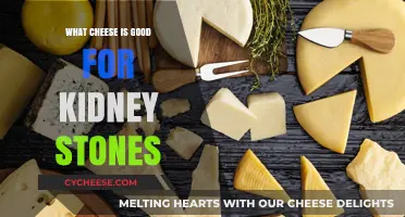 Kidney-Friendly Cheese Choices: Best Options to Prevent Stone Formation