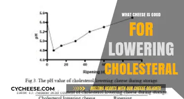 Cheese Choices to Lower Cholesterol: Healthy and Delicious Options