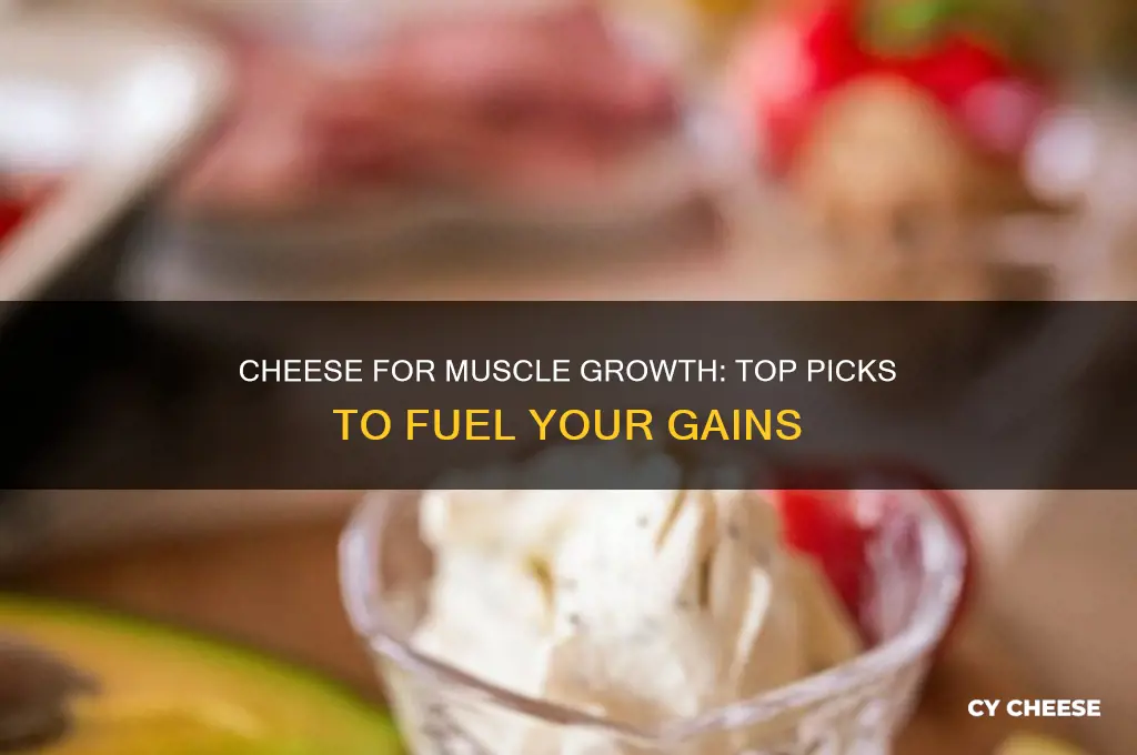what cheese is good for muscle building