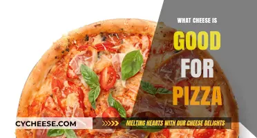 Perfect Pizza Cheese: Top Melty, Gooey, Flavorful Options to Try