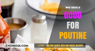 Perfect Poutine Cheese: Top Melty, Creamy, and Squeaky Choices