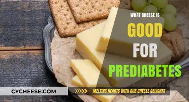 Prediabetes-Friendly Cheese Choices: Healthy Options to Manage Blood Sugar