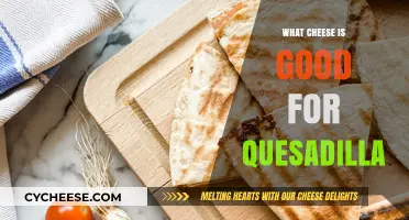 Best Cheeses for Quesadillas: Top Melty, Flavorful Options to Try