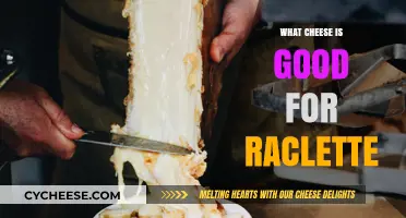 Best Cheeses for Perfect Raclette: Melty, Gooey, and Delicious Choices
