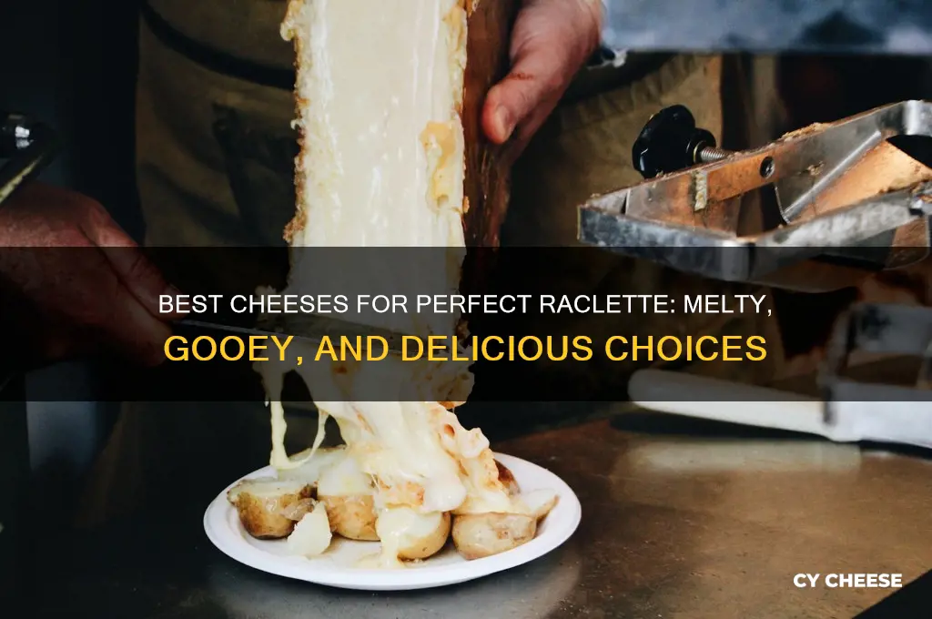 what cheese is good for raclette