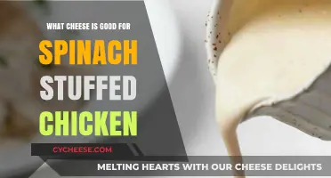 Best Cheese Pairings for Creamy Spinach Stuffed Chicken Recipes