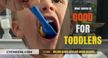 Nutritious Cheese Options for Toddlers: Healthy and Delicious Choices