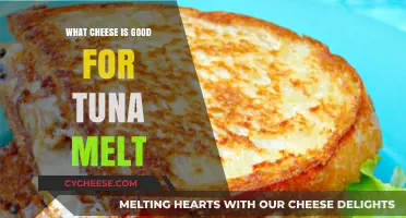 Best Cheeses to Elevate Your Perfect Tuna Melt Sandwich