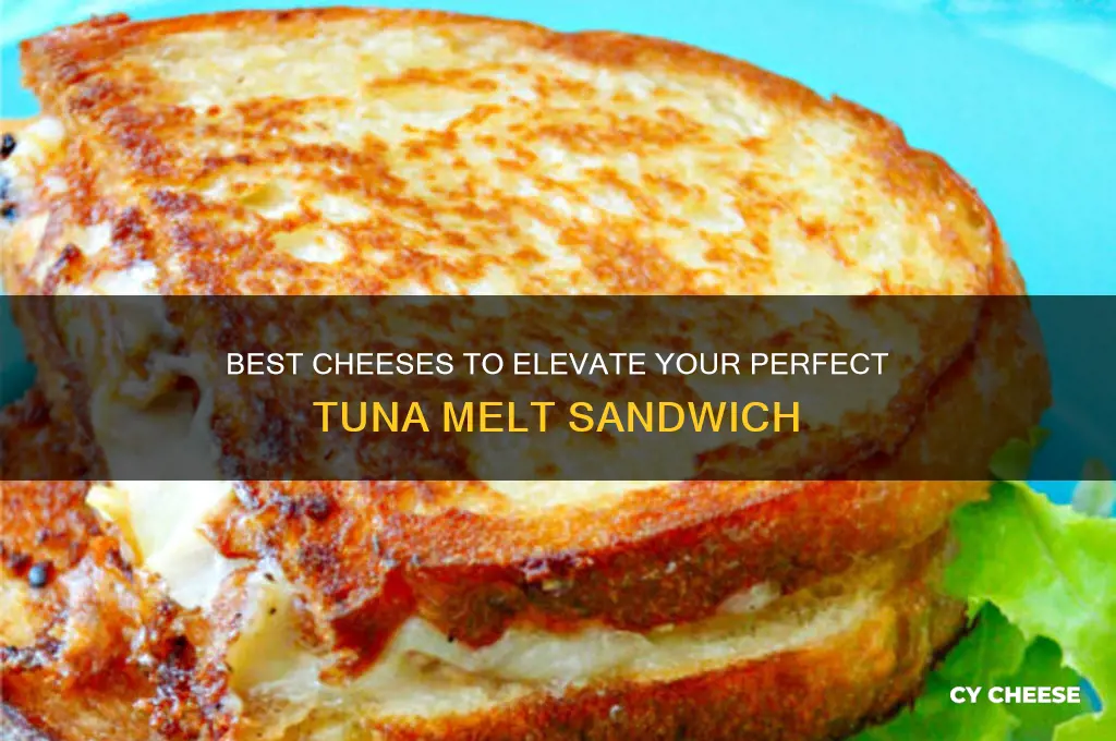 what cheese is good for tuna melt