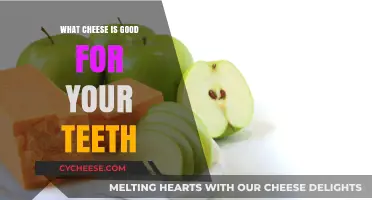 Cheese for Dental Health: Best Varieties to Strengthen Your Teeth