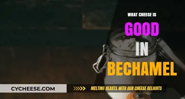 Best Cheeses for Creamy Béchamel Sauce: Elevate Your Recipes