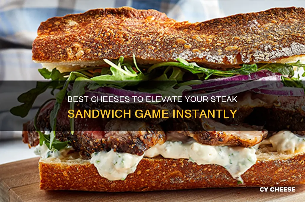 what cheese is good on a steak sandwich